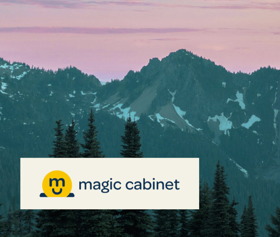 Magic Cabinet - Case Study Large