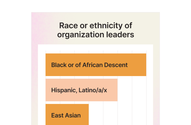 Product illustration of a bar graph depicting the race or ethnicity of organization leaders on Catchafire.