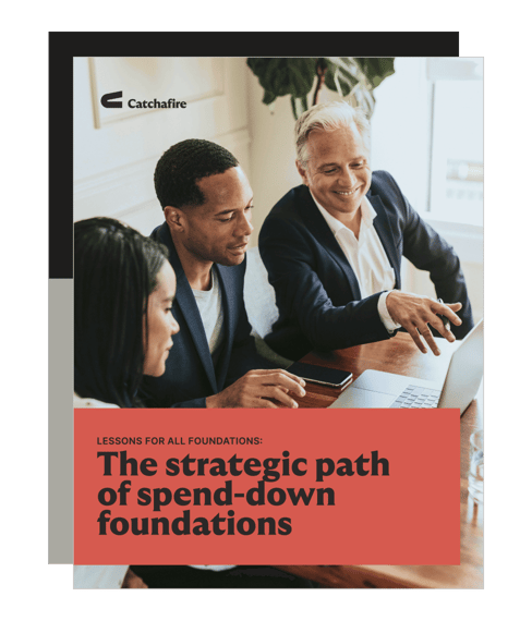 Cover of The strategic path of spend-down foundations PDF